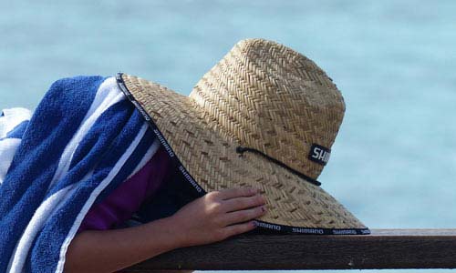 超高性能且智能化程度极高的网络短信呼叫软件虚拟号码